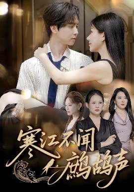 寒江不闻鹧鸪声