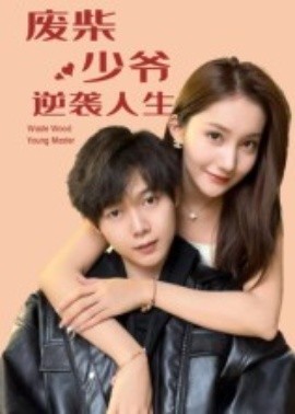 废柴少爷的逆袭人生