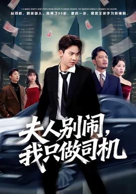 夫人别闹我只做司机