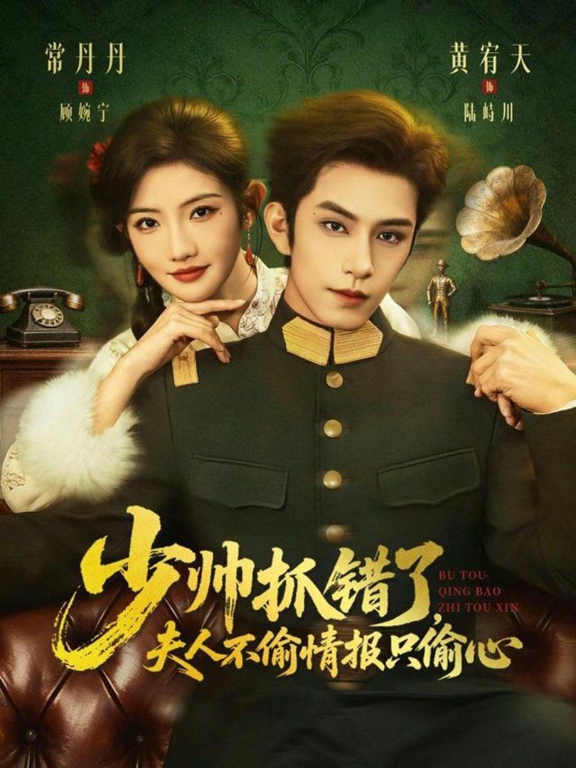 少帅抓错了，夫人不偷情报只偷心