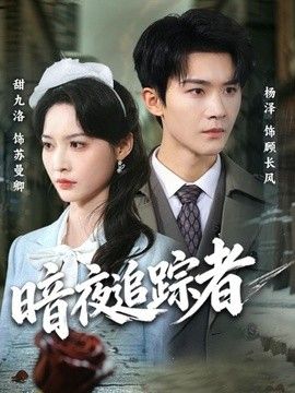 暗夜追踪者
